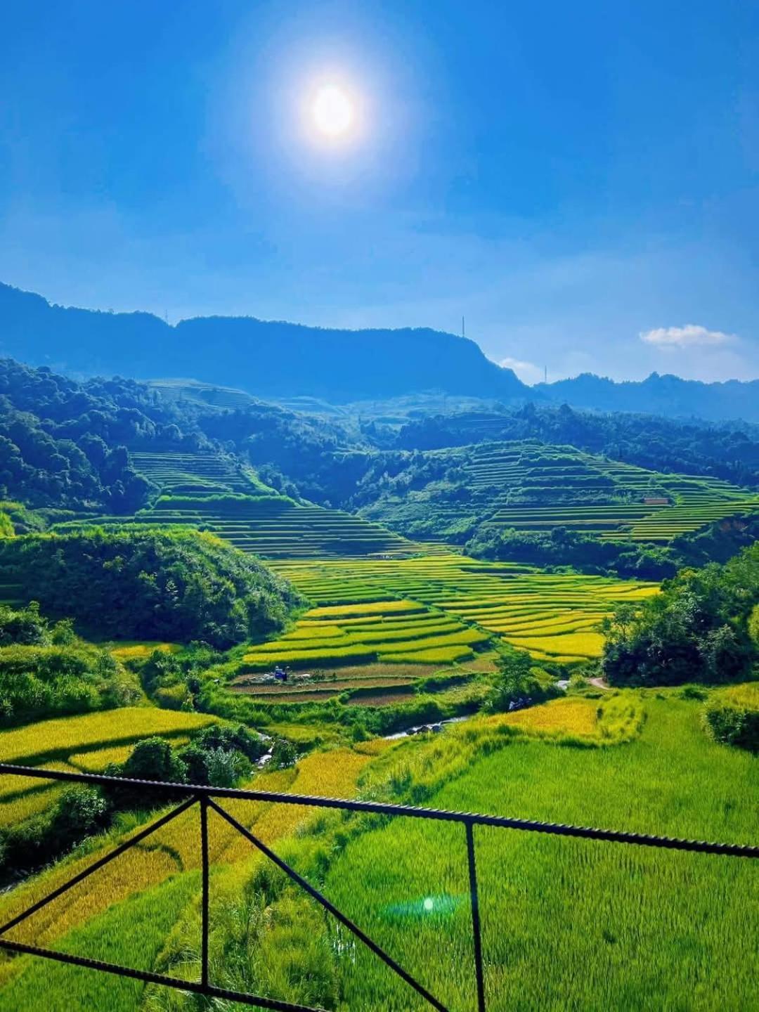 Dien Homestay Quan Ba Exterior foto